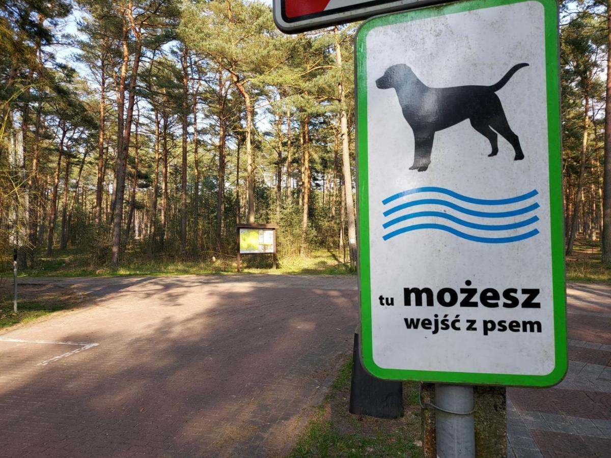 Dogs Welcome! Domek Na Zacisznej Pogorzelica  Ngoại thất bức ảnh